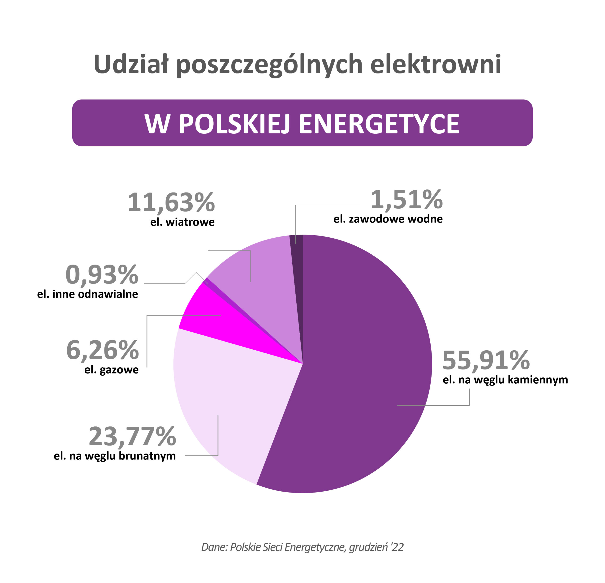 udział poszczególnych elektrowni w polskiej energetyce