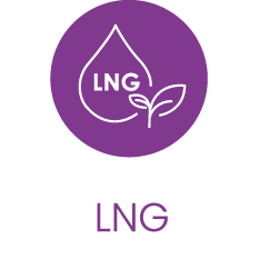 56x56_inmarketing_DUON_ikonki_LNG